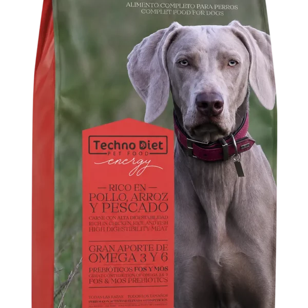 Techno Diet Energy
