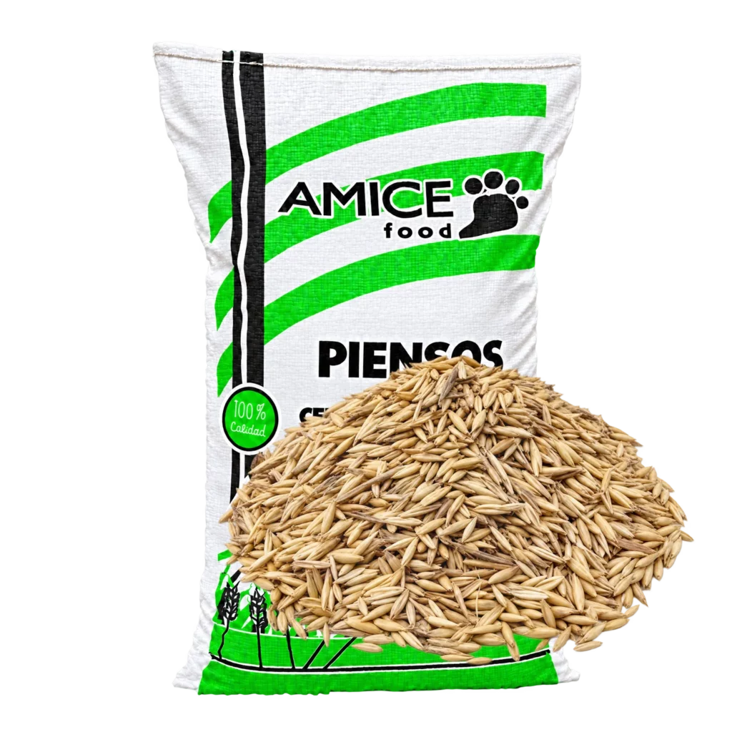 Avena