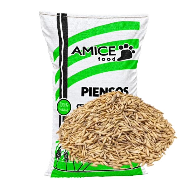 Avena