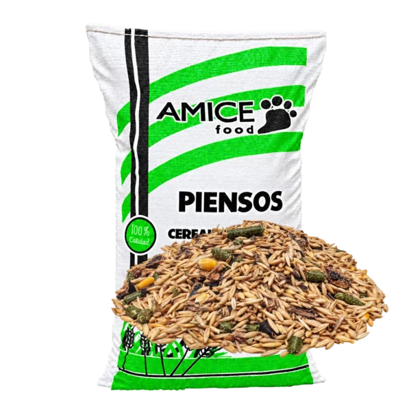 Caballos Básico