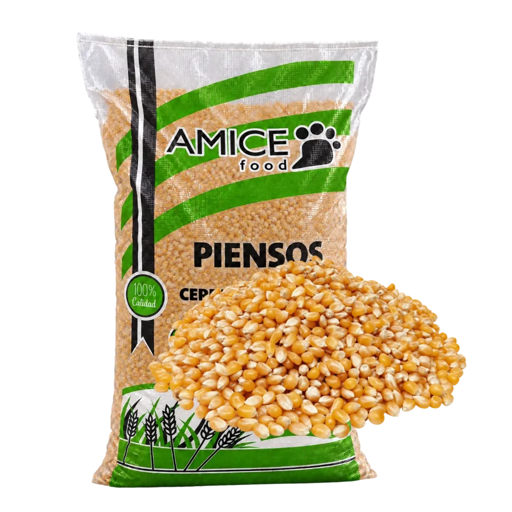 Maíz palomitas