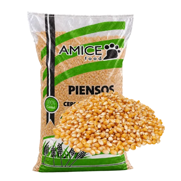 Maíz palomitas