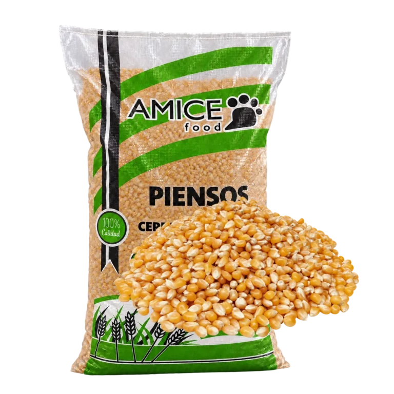 Saco Maíz palomitas