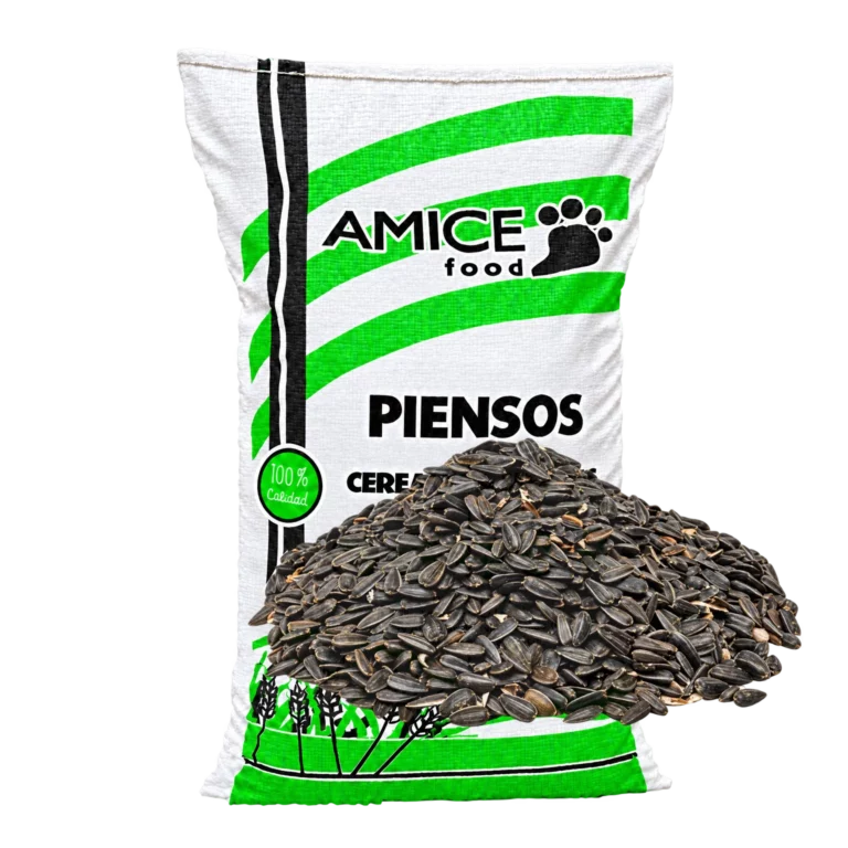 Saco Pipa