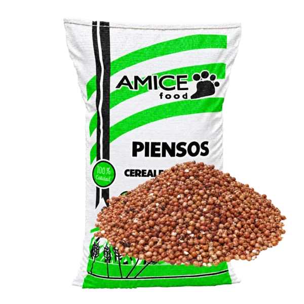 Sorgo rojo