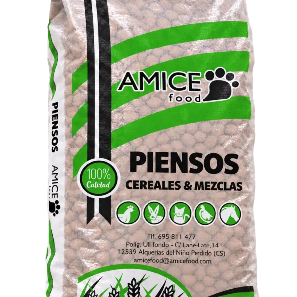Amice Básico Perros